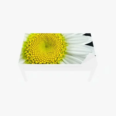 Chapa adhesiva para mesa y escritorio margarita en primer plano con patrón Fibonacci – Pixers®
