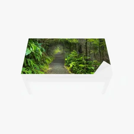 Chapa adhesiva para mesa y escritorio sendero del bosque lluvioso en Kilauea Iki – Pixers®