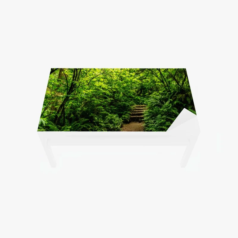 Chapa adhesiva para mesa y escritorio sendero entre helechos en bosque verde