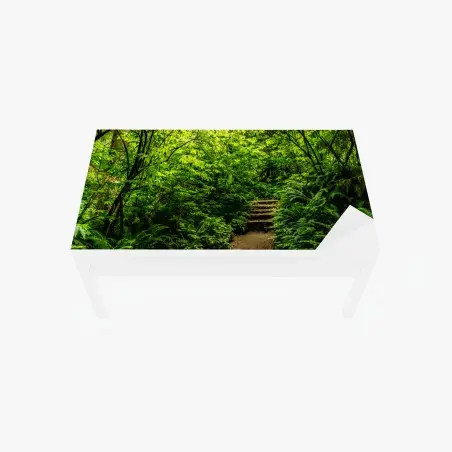 Chapa adhesiva para mesa y escritorio sendero entre helechos en bosque verde – Pixers®