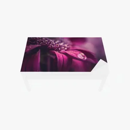 Chapa adhesiva para mesa y escritorio pétalo púrpura con gota de rocío – Pixers®