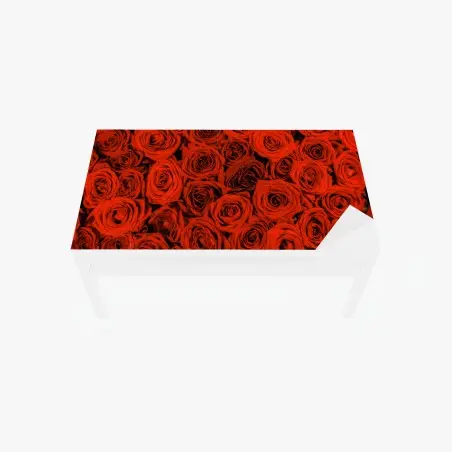 Chapa adhesiva para mesa y escritorio rosas rojas en abundancia – Pixers®