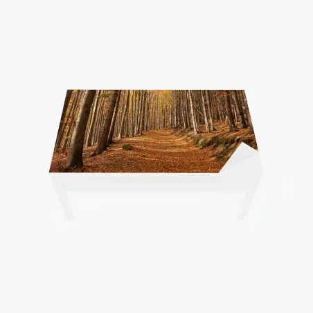 Chapa adhesiva para mesa y escritorio sendero otoñal entre hayas doradas – Pixers®