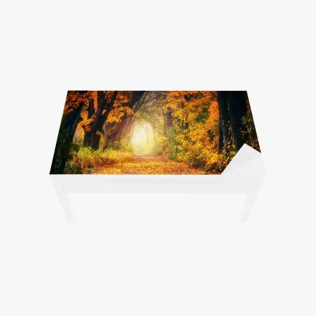 Chapa adhesiva para mesa y escritorio sendero otoñal entre árboles dorados – Pixers®