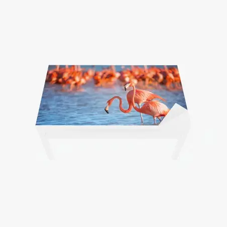 Chapa adhesiva para mesa y escritorio flamencos en aguas serenas – Pixers®