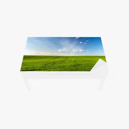 Chapa adhesiva para mesa y escritorio panorama de campo verde en primavera – Pixers®