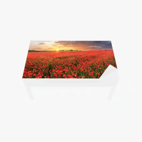 Chapa adhesiva para mesa y escritorio atardecer sobre campo de amapolas – Pixers®
