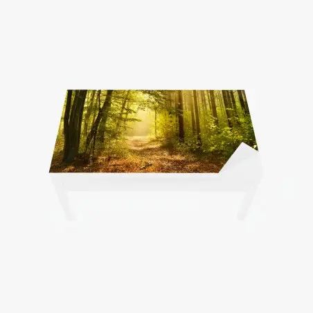 Chapa adhesiva para mesa y escritorio sendero dorado en el bosque – Pixers®