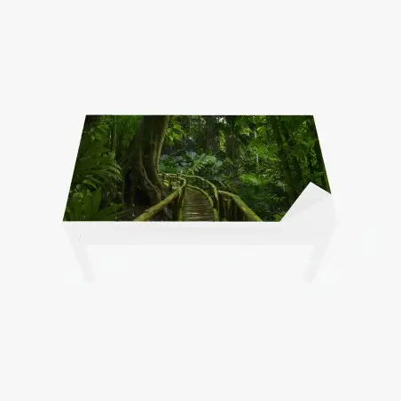 Chapa adhesiva para mesa y escritorio sendero verde en la selva tropical – Pixers®