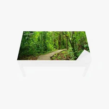 Chapa adhesiva para mesa y escritorio sendero entre la selva tropical – Pixers®