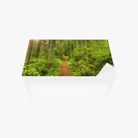 Chapa adhesiva para mesa y escritorio sendero boscoso entre árboles verdes – Pixers®