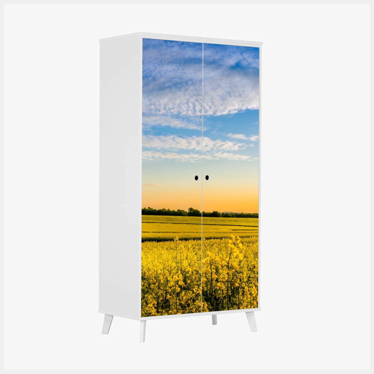 Pegatina para armario paisaje de campo de colza al atardecer – Pixers®