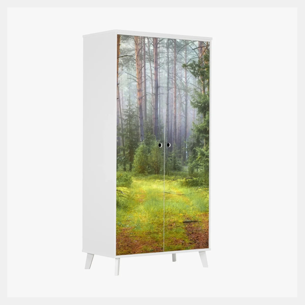 Pegatina para armario sendero en bosque de pinos y musgo – Pixers® Pegatina para armario sendero en bosque de pinos y musgo – Pixers®