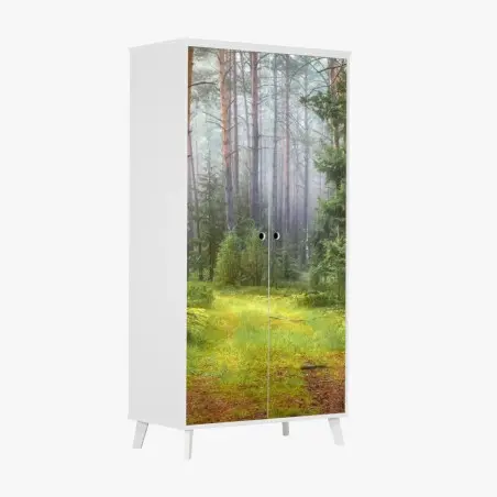 Pegatina para armario sendero en bosque de pinos y musgo – Pixers®