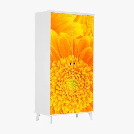 Pegatina para armario estallido de color: gerberas naranjas en primer plano – Pixers®