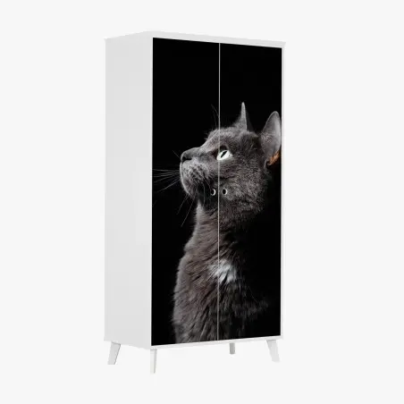 Pegatina para armario perfil elegante de gato gris mirando la luz – Pixers®