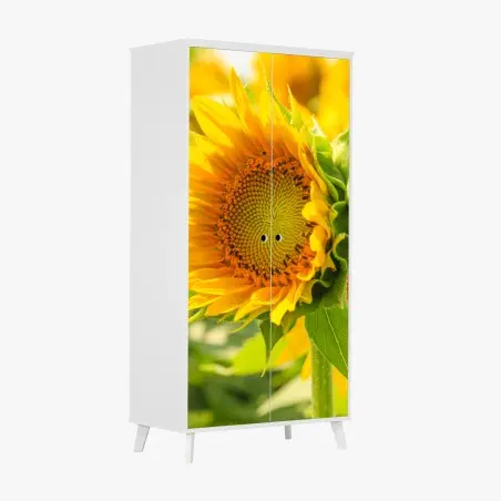 Pegatina para armario girasol en primer plano luminoso – Pixers®