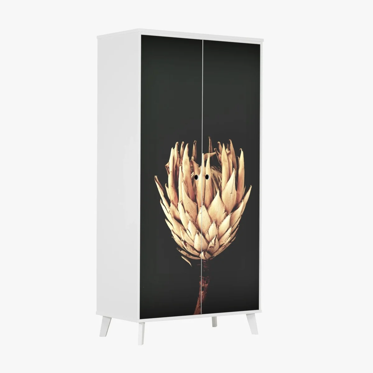 Pegatina para armario protea seca sobre fondo oscuro y minimalista – Pixers® Pegatina para armario protea seca sobre fondo oscuro y minimalista – Pixers®