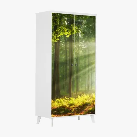 Pegatina para armario amanecer otoñal en bosque antiguo – Pixers®