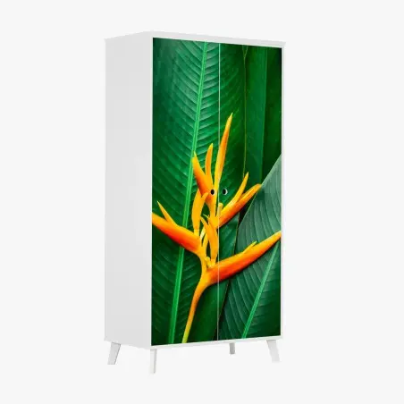 Pegatina para armario flor tropical vibrante sobre follaje verde – Pixers®