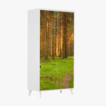 Pegatina para armario bosque iluminado al atardecer – Pixers®