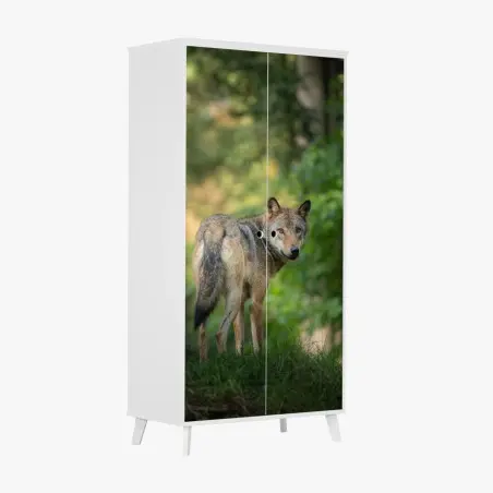 Pegatina para armario lobo en el bosque al amanecer – Pixers®