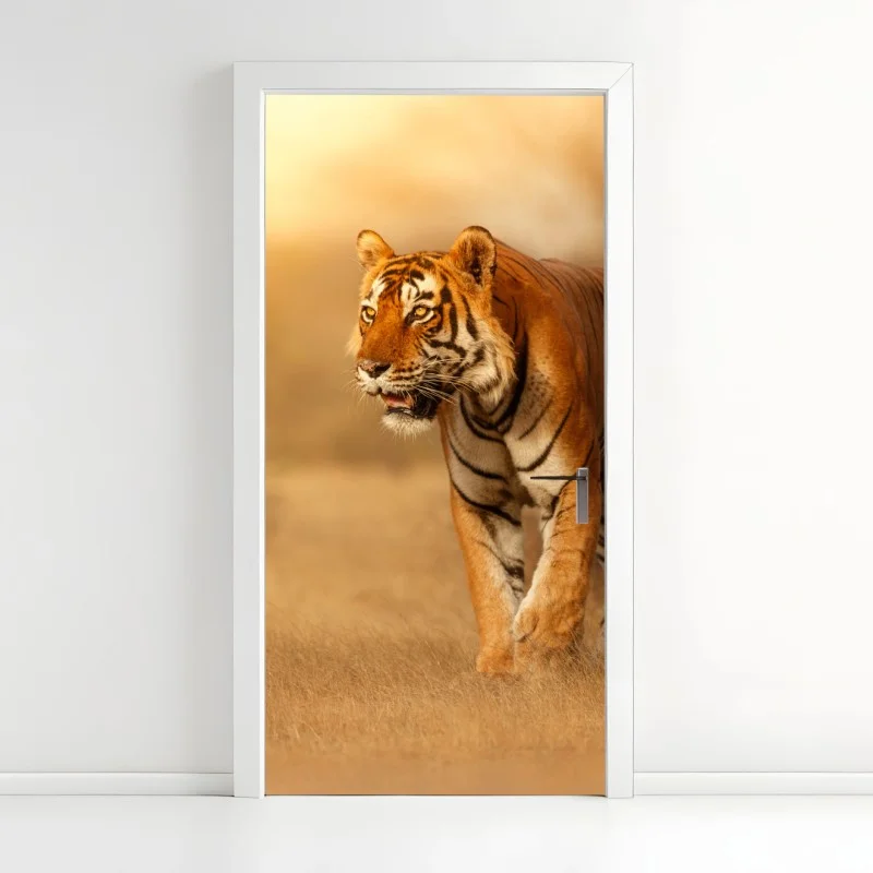 Pegatina para puerta tigre en la luz dorada del atardecer