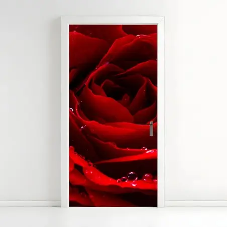 Pegatina para puerta rosa roja en primer plano con gotas de rocío – Pixers®