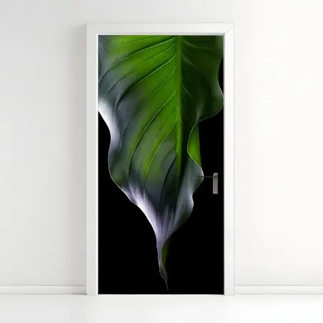 Pegatina para puerta hoja verde en contraste dramático – Pixers®