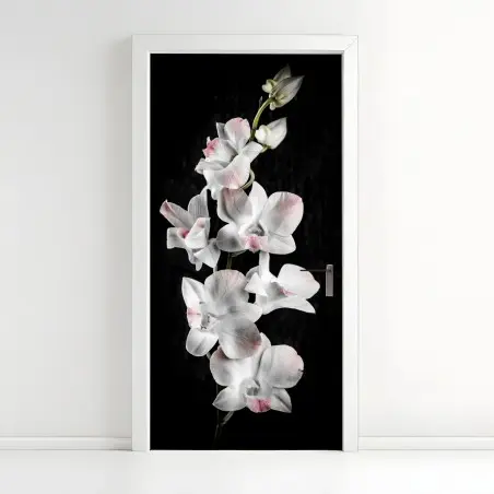 Pegatina para puerta orquídeas blancas con toques rosados sobre fondo negro – Pixers®