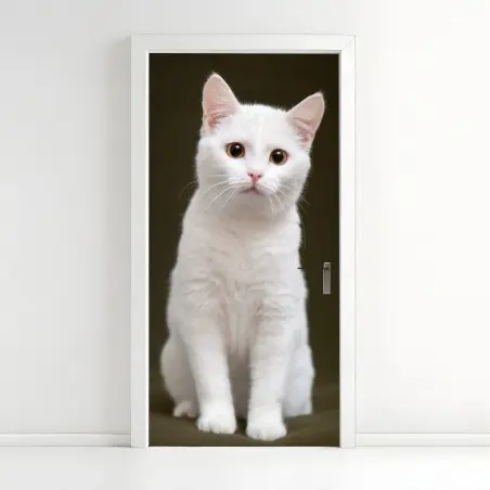 Pegatina para puerta retrato tierno de gato blanco con mirada curiosa – Pixers®