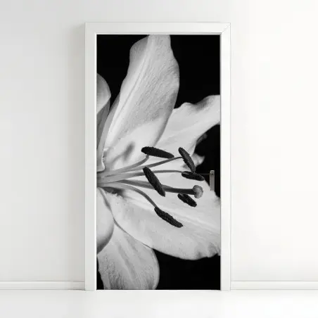 Pegatina para puerta lirio en primer plano blanco y negro – Pixers®