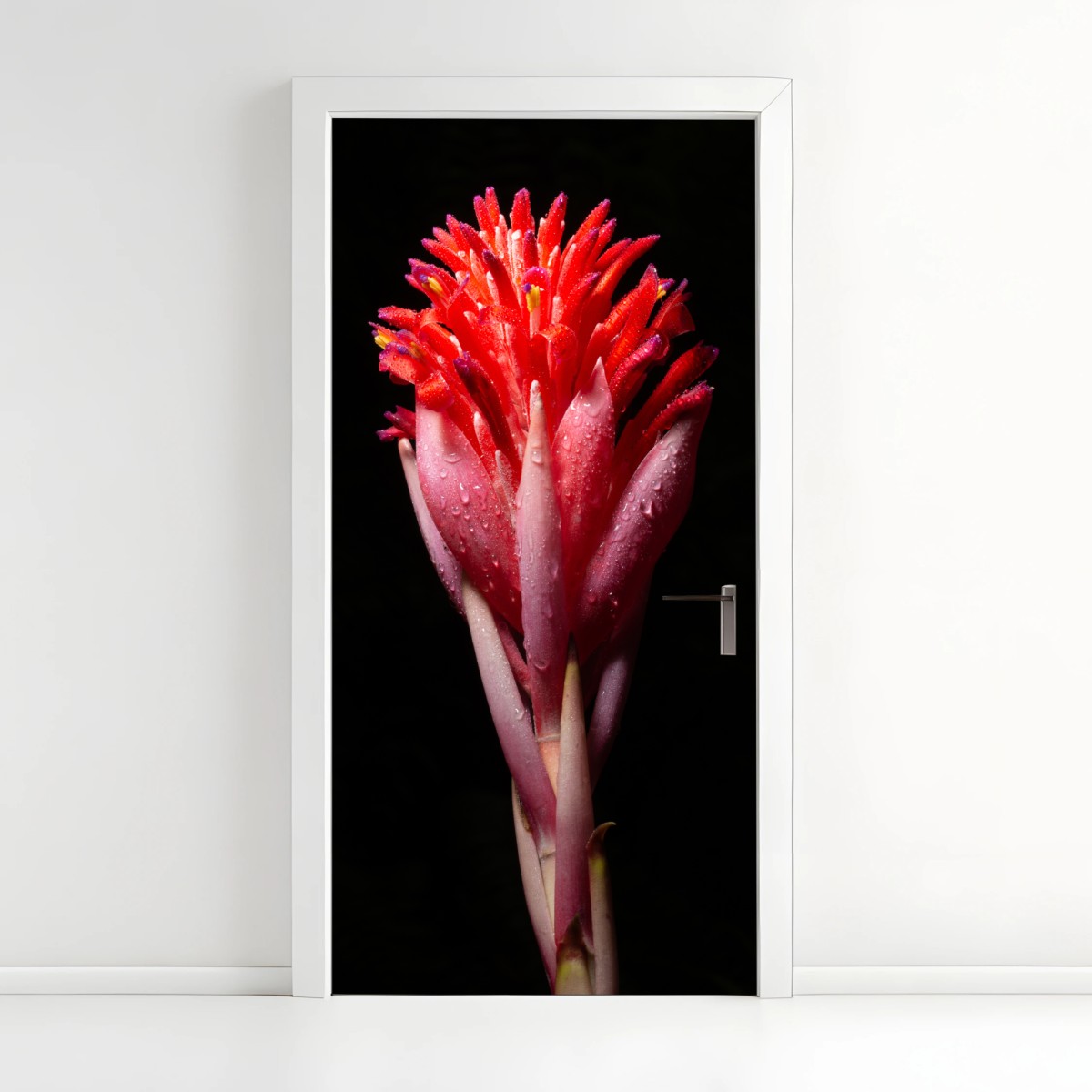 Pegatina para puerta flor tropical en primer plano sobre fondo negro – Pixers®