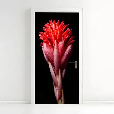Pegatina para puerta flor tropical en primer plano sobre fondo negro – Pixers®