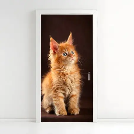 Pegatina para puerta gatito naranja esponjoso con mirada curiosa – Pixers®