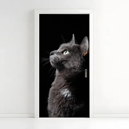 Pegatina para puerta perfil elegante de gato gris mirando la luz – Pixers®