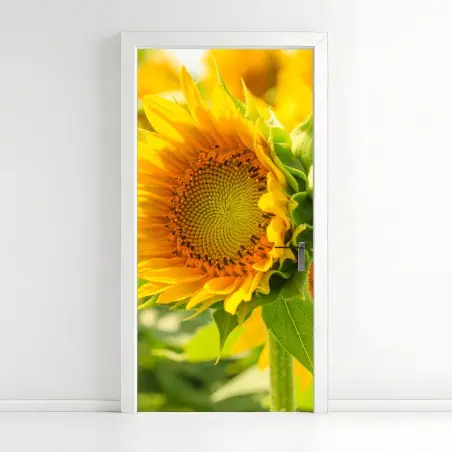 Pegatina para puerta girasol en primer plano luminoso – Pixers®