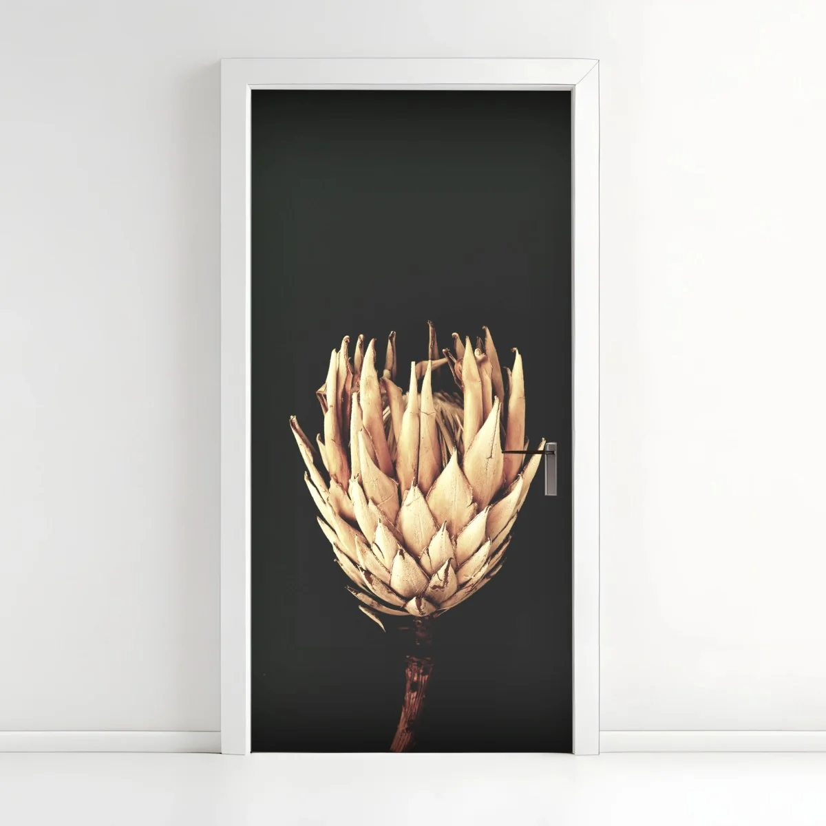 Pegatina para puerta protea seca sobre fondo oscuro y minimalista – Pixers® Pegatina para puerta protea seca sobre fondo oscuro y minimalista – Pixers®
