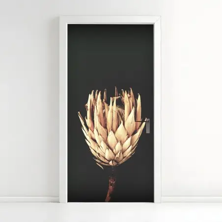 Pegatina para puerta protea seca sobre fondo oscuro y minimalista – Pixers®