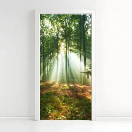 Pegatina para puerta luz entre los árboles al amanecer – Pixers®