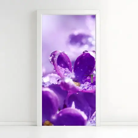 Pegatina para puerta lilas moradas en primer plano con gotas de rocío – Pixers®