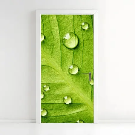 Pegatina para puerta hoja verde con gotas de rocío – Pixers®