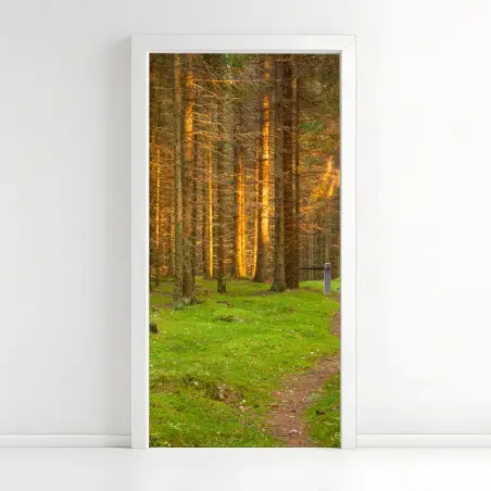 Pegatina para puerta bosque iluminado al atardecer – Pixers®