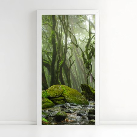Pegatina para puerta bosque húmedo con arroyo entre rocas – Pixers®