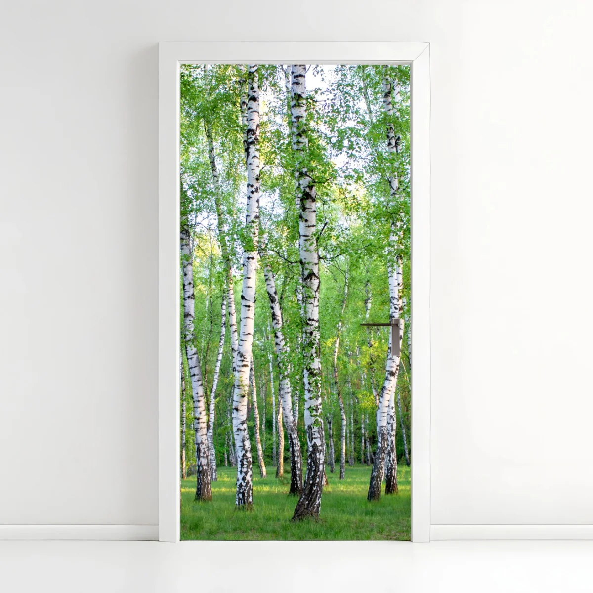 Pegatina para puerta arboleda de abedules en verano – Pixers® Pegatina para puerta arboleda de abedules en verano – Pixers®