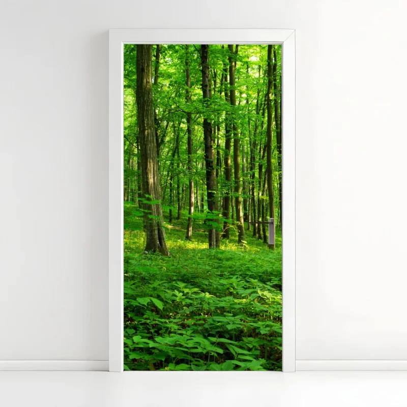 Pegatina para puerta bosque verde bañado por el sol