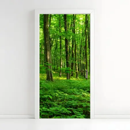 Pegatina para puerta bosque verde bañado por el sol – Pixers®