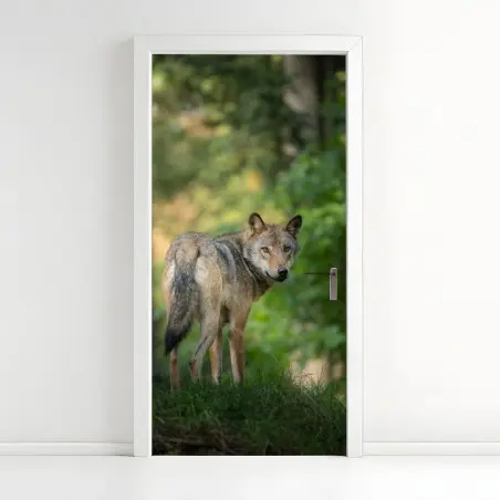 Pegatina para puerta lobo en el bosque al amanecer – Pixers®