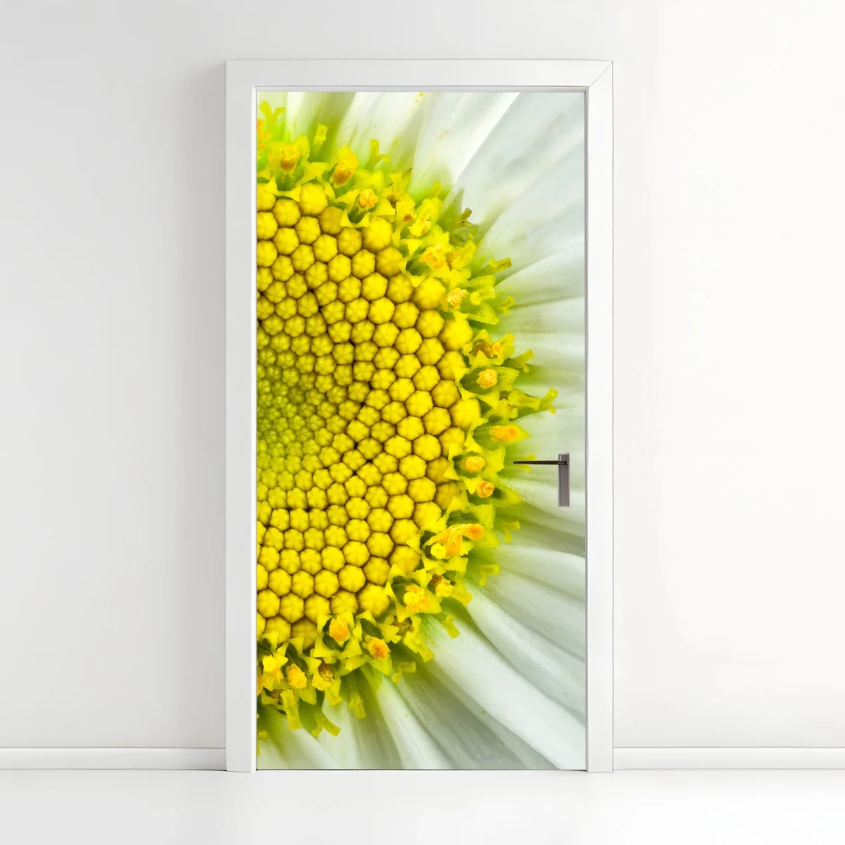 Pegatina para puerta margarita en primer plano con patrón Fibonacci – Pixers® Pegatina para puerta margarita en primer plano con patrón Fibonacci – Pixers®