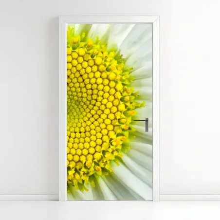 Pegatina para puerta margarita en primer plano con patrón Fibonacci – Pixers®